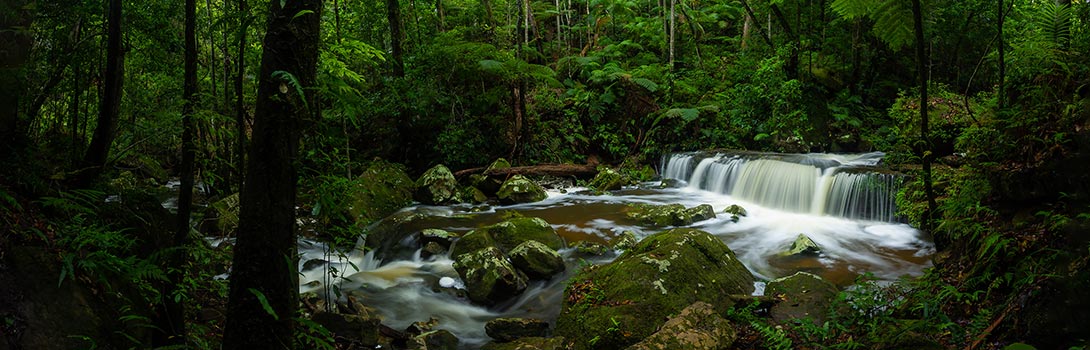 Waterfalls in Watagans National Park, NSW